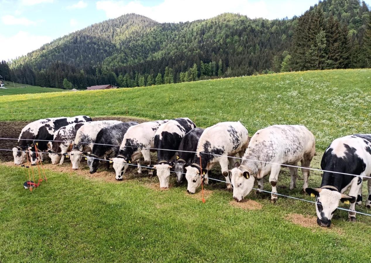 Bichlhof Riedenberg Villa Thiersee Eksteriør billede