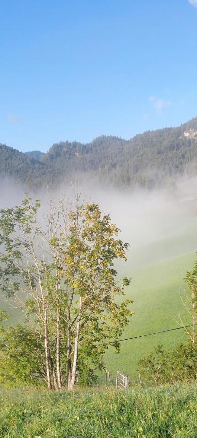 Bichlhof Riedenberg Villa Thiersee Eksteriør billede