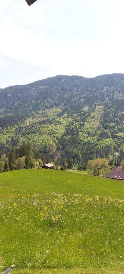 Bichlhof Riedenberg Villa Thiersee Eksteriør billede