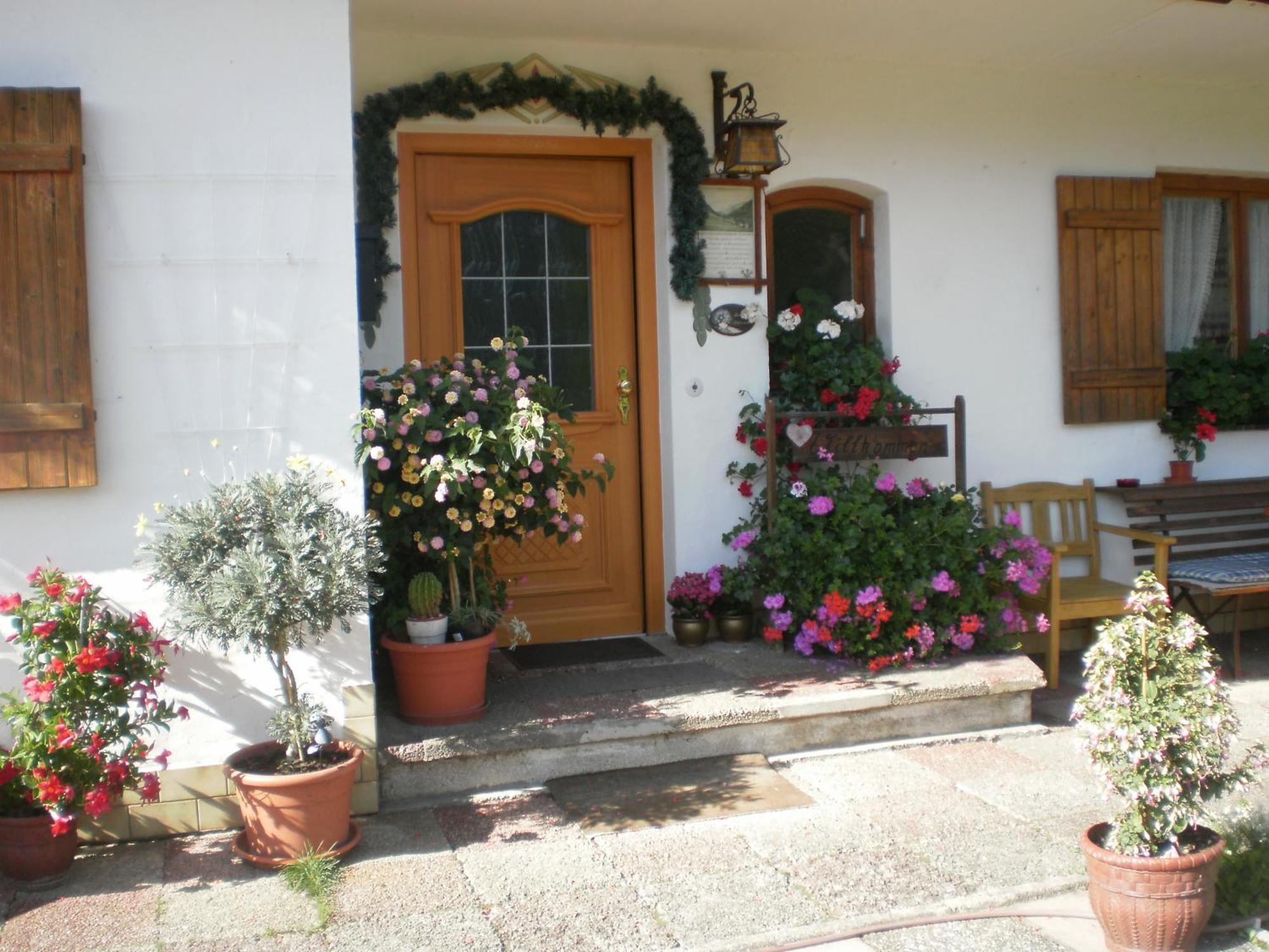 Bichlhof Riedenberg Villa Thiersee Eksteriør billede