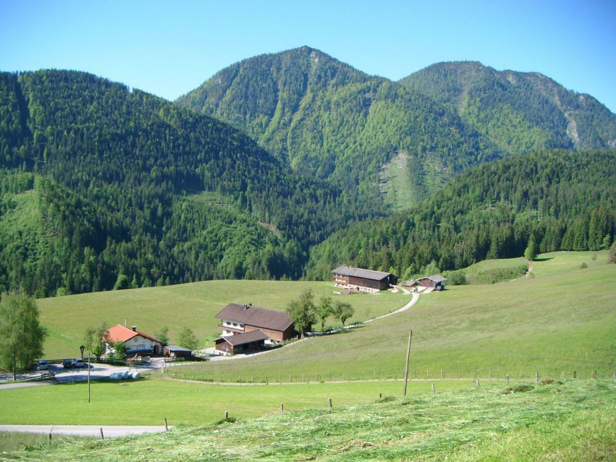 Bichlhof Riedenberg Villa Thiersee Eksteriør billede